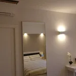 Rent 1 bedroom apartment of 65 m² in milan