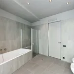 Pronajměte si 4 ložnic/e byt o rozloze 257 m² v Prague