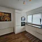 Rent 4 bedroom house of 121 m² in Haarlem