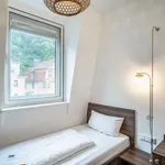 Miete 1 Schlafzimmer wohnung von 14 m² in Heidelberg