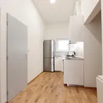 Rent 1 bedroom apartment in Brno