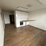 Rent 2 bedroom apartment of 564 m² in Bruntál