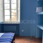 Rent 2 bedroom apartment of 55 m² in Torino