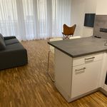 Rent 2 bedroom apartment of 56 m² in Kaiserslautern