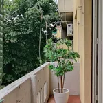 Rent 1 bedroom apartment in milan