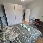 Rent 2 bedroom apartment of 60 m² in Turin