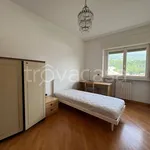 Rent 3 bedroom apartment of 80 m² in Trento