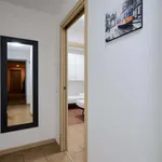 Rent 3 bedroom apartment of 80 m² in Milan