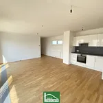 Rent 3 bedroom apartment of 8467 m² in Wien