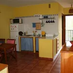 Rent 1 bedroom apartment of 50 m² in Cadiz']