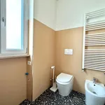 Rent 2 bedroom apartment of 60 m² in Roma