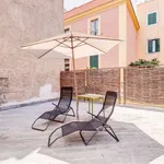 Rent 1 bedroom apartment of 45 m² in rome