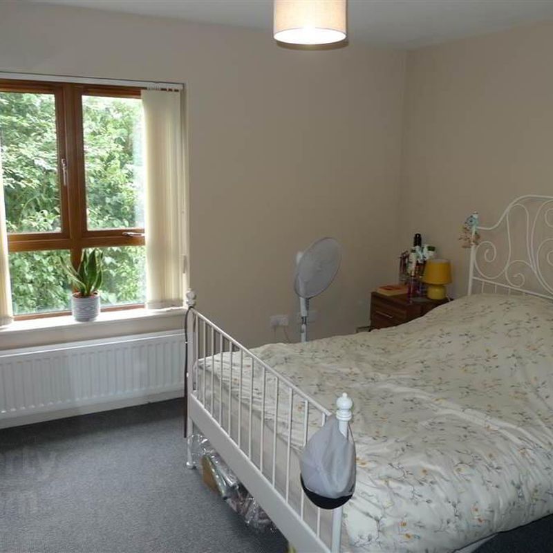 Apartment for rent in Belfast Dundonald