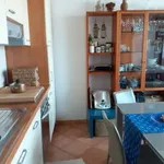 Rent 2 bedroom apartment of 70 m² in Piacenza