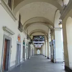 Rent 2 bedroom apartment of 45 m² in Torino