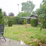 Rent 4 bedroom house of 950 m² in Bruges