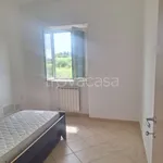 Rent 3 bedroom apartment of 74 m² in Zagarolo