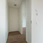 Rent 2 bedroom apartment of 66 m² in Amsterdam