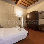 Rent 2 bedroom apartment of 60 m² in Firenze