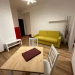 Rent 1 bedroom apartment of 40 m² in Roma