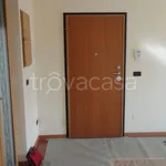 Rent 4 bedroom apartment of 100 m² in Bari