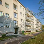 Wohnung über 51 m² in Dresden