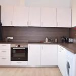 Rent 1 bedroom apartment of 40 m² in Brno