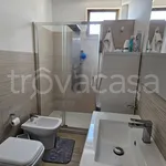 Rent 3 bedroom apartment of 100 m² in Misterbianco