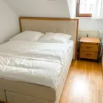 Rent 3 bedroom apartment of 100 m² in frankfurt