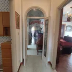 Rent 5 bedroom apartment of 150 m² in Roma