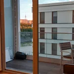 Rent 2 bedroom apartment of 44 m² in Berlin