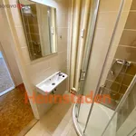 Rent 1 bedroom apartment of 19 m² in Ostrava