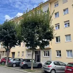 Appartement de 127 m² avec 5 chambre(s) en location à Strasbourg