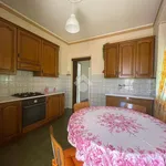 Rent 1 bedroom apartment of 20 m² in Bra