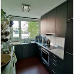 Rent 3 bedroom apartment in Zurich