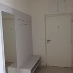 Rent 1 bedroom apartment of 80 m² in Brno