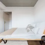 Rent a room of 67 m² in frankfurt