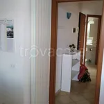 Rent 3 bedroom apartment of 68 m² in Ceriale