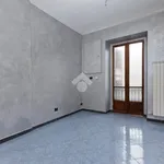 Rent 1 bedroom apartment of 35 m² in Torino