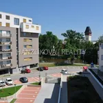 Rent 1 bedroom apartment of 28 m² in České Budějovice