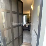 Rent 2 bedroom apartment of 50 m² in Turin