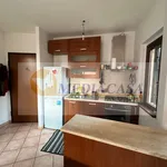 Rent 2 bedroom apartment of 50 m² in Rome