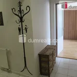 Rent 1 bedroom apartment of 40 m² in Zlín