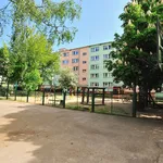 Rent 1 bedroom apartment of 20 m² in Szczecin