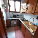 Rent 4 bedroom apartment of 110 m² in Torino