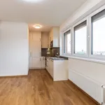 Pronajměte si 2 ložnic/e byt o rozloze 50 m² v Capital City of Prague