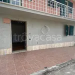 Affitto 3 camera appartamento di 63 m² in Zagarolo