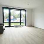 Rent 1 bedroom apartment in Prague