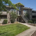 Rent 2 bedroom apartment in Roseville