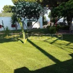 Rent 3 bedroom house of 100 m² in Condofuri